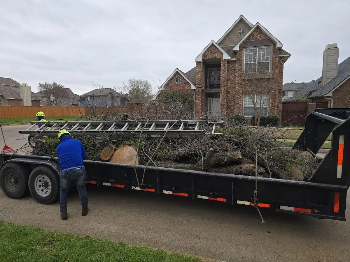 Expert Lot Clearing with proper safety equipment in Norfork